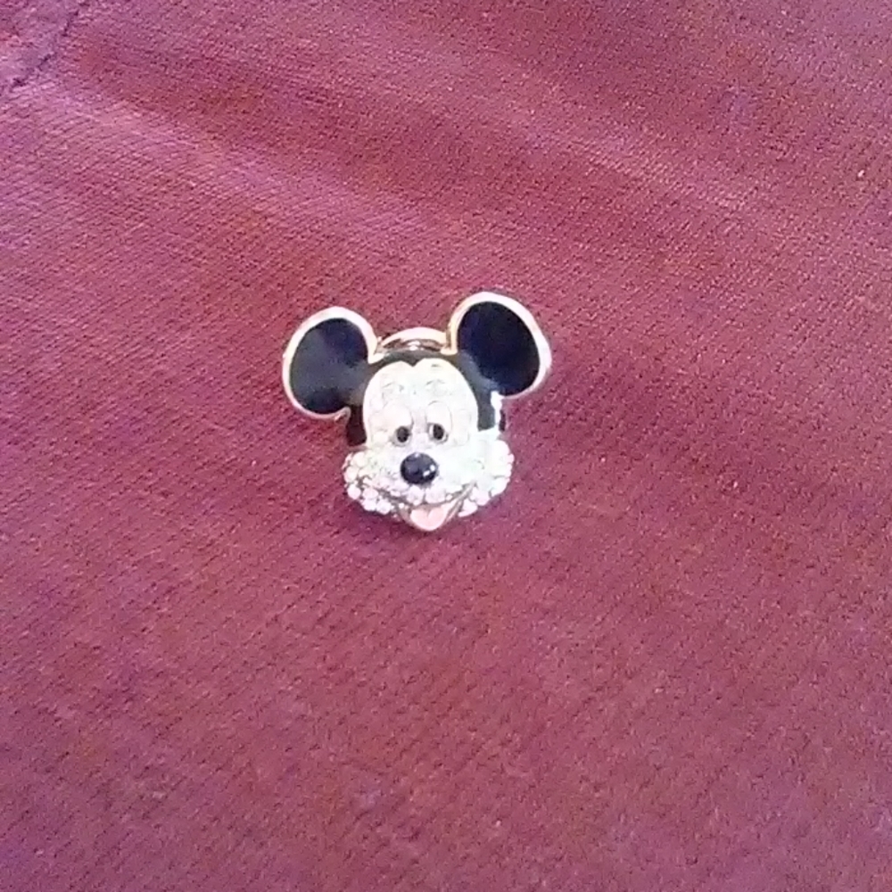 Disney pin